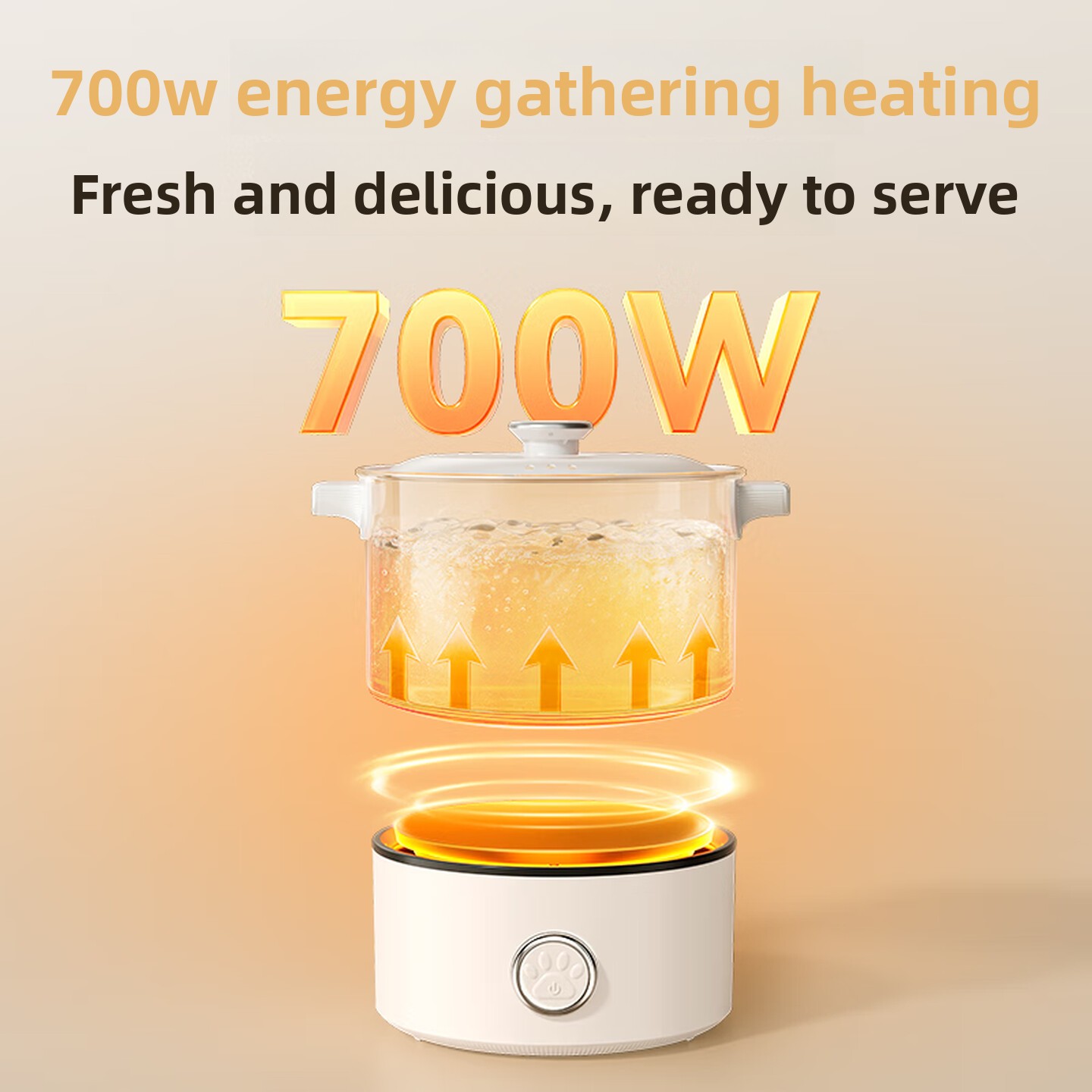 2L Dual Voltage 110V 220V Fold - Hot Pot Portable Dual ulasan dan harga