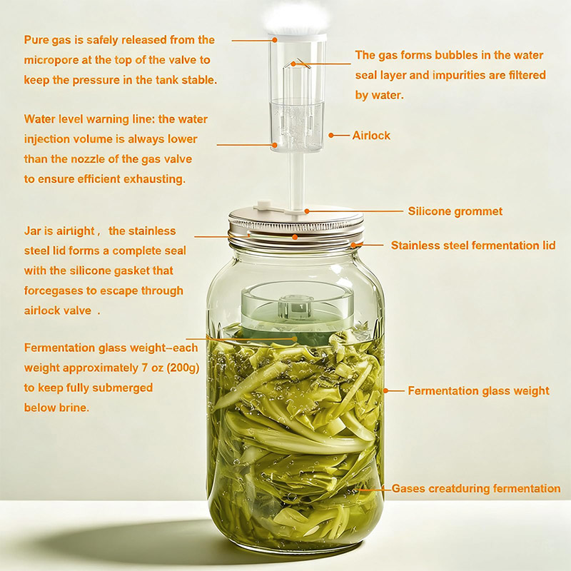 Fermentation Kit, Wide Mouth M - Fermentation Crock ulasan dan harga